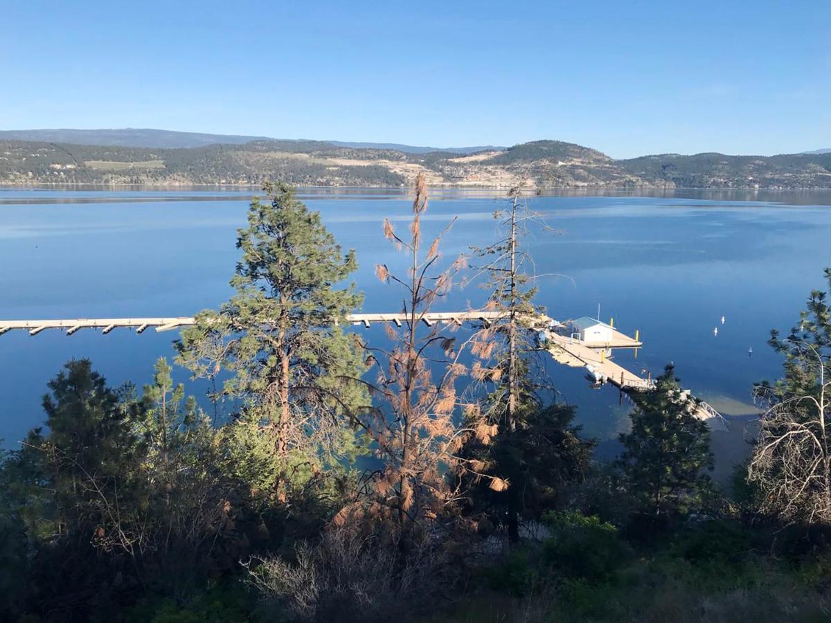 Cozystay Signature Lake Okanagan Resort Келоуна Экстерьер фото